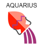 Aquarius Rashi Prediction
